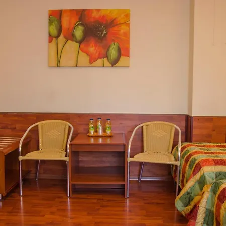 Otel Skaut